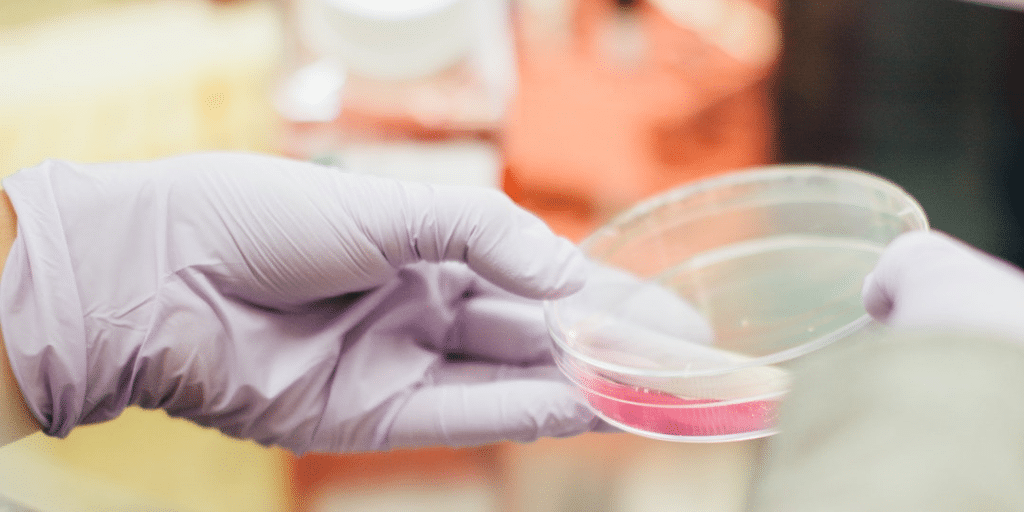 Petri dish cancer treatment